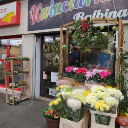 Kwiaciarnia Balbina - Kwiatomat 24/7 (Kraków )
