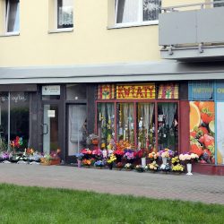 Kwiaciarnia Barbara Paździor-kuszka (Katowice )