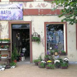 Kwiaciarnia