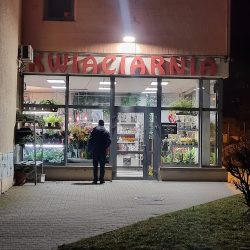 Kwiaciarnia Bea (Kraków )