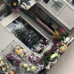 Kwiaciarnia Beata (Gdańsk )