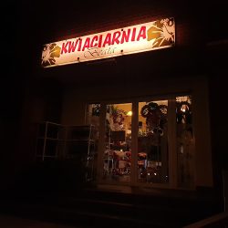 Kwiaciarnia Beata (Rotmanka )