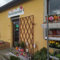 Kwiaciarnia Beata Cypryńska (Szerzyny )