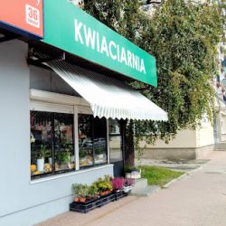 Kwiaciarnia Beata Piekart. Kwiaty, Bukiety, Wiązanki (Pruszków )