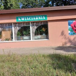Kwiaciarnia Beauty Flowers Katarzyna Sawicka (Piaseczno )