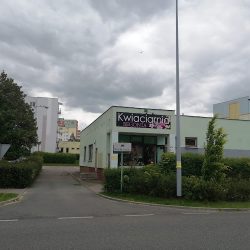 Kwiaciarnia Begonia Grudziądz (Grudziądz )