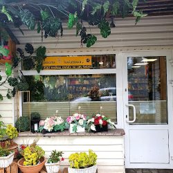 Kwiaciarnia Bez Lipy (Jabłonka )