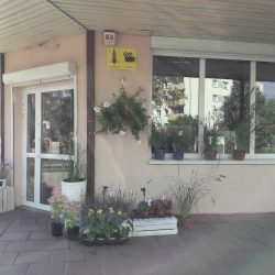 Kwiaciarnia Białystok - Kwiatownia (Białystok )