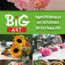 Kwiaciarnia Big Art (Ropa )