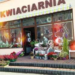 Kwiaciarnia Biskupiec (Biskupiec )