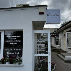 Kwiaciarnia Blossom Fest (Bydgoszcz )