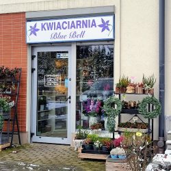 Kwiaciarnia Blue Bell (Gdańsk )