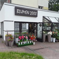Kwiaciarnia Blumen 2000 (Bydgoszcz )