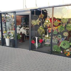 Kwiaciarnia Blumenbox (Głogówek en Merlo San Luis)