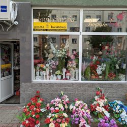 Kwiaciarnia Bogusia (Iława )