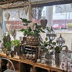 Kwiaciarnia Botaniczna - Nina Janas (Przecław )