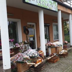 Kwiaciarnia Botanika (Radzymin )