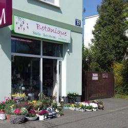 Kwiaciarnia Botanique (Konstancin-Jeziorna )