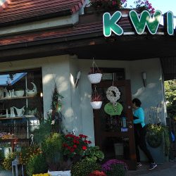Kwiaciarnia Bradel (Gliwice )