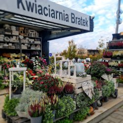Kwiaciarnia Bratek (Wieluń )