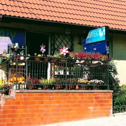 Kwiaciarnia Bratek - Grażyna Skałka (Myślenice )