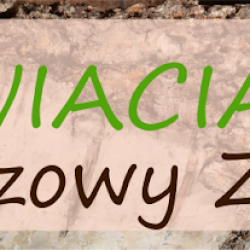 Kwiaciarnia Brzozowy Zakątek Duszniki (Duszniki en Merlo San Luis)