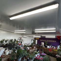 Kwiaciarnia Bzowy Ogródek (Luboń en Merlo San Luis)