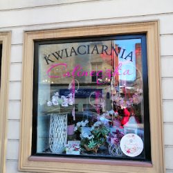 Kwiaciarnia Calineczka (Nowa Ruda )