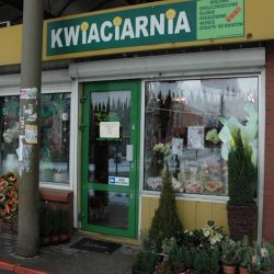 Kwiaciarnia Calla (Wejherowo )