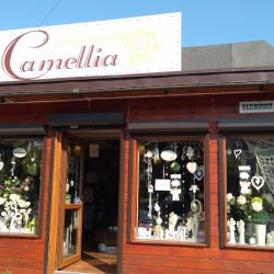 Kwiaciarnia Camellia (Zabrze )