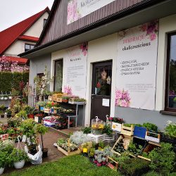 Kwiaciarnia Carolla - Dekoracje - Izabela Sobkowicz (Lubień )