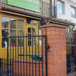 Kwiaciarnia