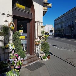Kwiaciarnia Cattleya (Słupsk )