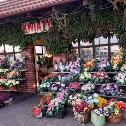 Kwiaciarnia Celina Żurek (Kępno )