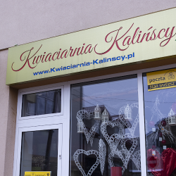 Kwiaciarnia Cezary Kaliński (Przasnysz )