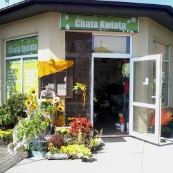 Kwiaciarnia Chata Kwiata (Jedlnia-Letnisko )