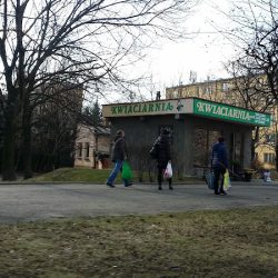 Kwiaciarnia Ciosek Zofia (Sosnowiec )