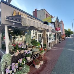 Kwiaciarnia Clivia (Częstochowa )