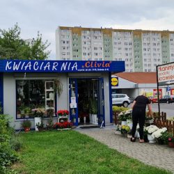 Kwiaciarnia Clivia Włocławek (Włocławek )