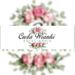 Kwiaciarnia Cuda Wianki (Pilawa )