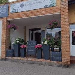 Kwiaciarnia Czarna Owca Justyna Gnacińska (Inowrocław )