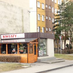 Kwiaciarnia - Czarnecka Urszula (Katowice )