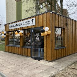 Kwiaciarnia „czarny Tulipan”. (Dębno )