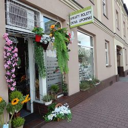 Kwiaciarnia Częstochowa
