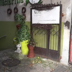 Kwiaciarnia Częstochowa Wena (Częstochowa )