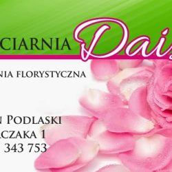 Kwiaciarnia Daisy (Radzyń Podlaski en Merlo San Luis)
