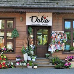 Kwiaciarnia Dalia (Czudec )