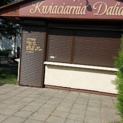 Kwiaciarnia Dalia (Toruń )