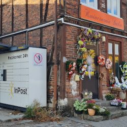 Kwiaciarnia Dalia Edyta Bendlin (Toruń )