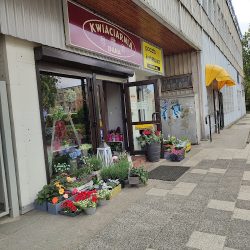 Kwiaciarnia Dana (Gdynia )